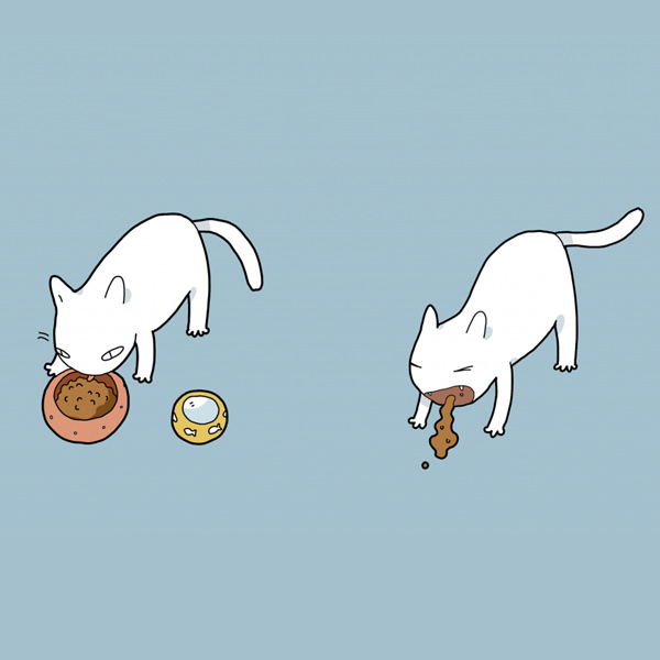 Funny Doodles For Cat Lovers