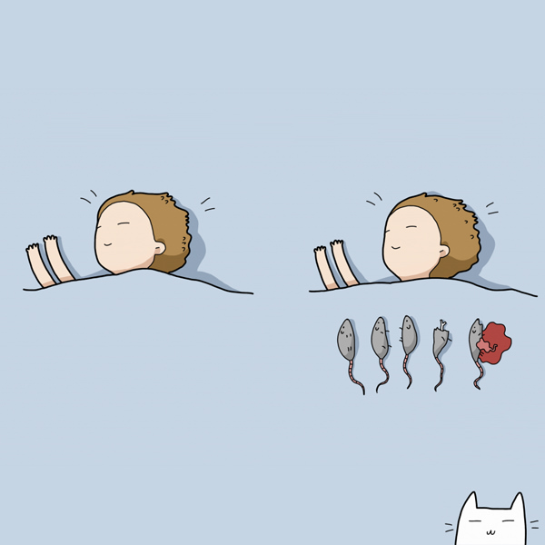 Funny Doodles For Cat Lovers