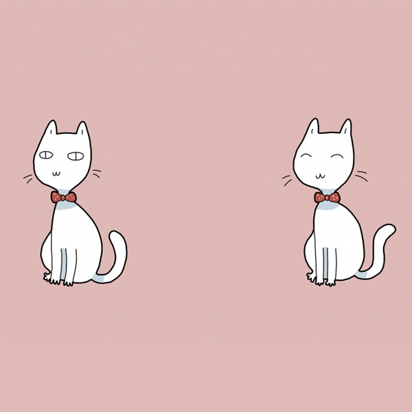 Funny Doodles For Cat Lovers