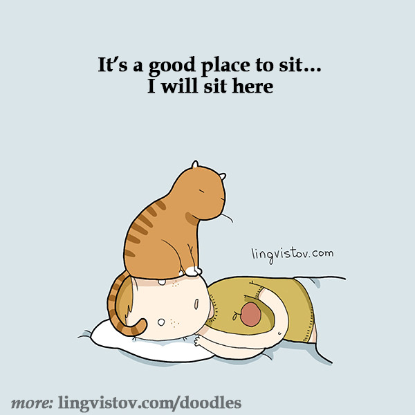 Funny Doodles For Cat Lovers