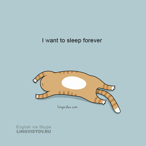 Funny Doodles For Cat Lovers