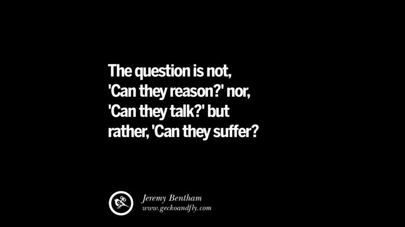 The question is not 'Can they reason?' nor, 'Can they talk?' but rather, 'Can they suffer?' - Jeremy Bentham