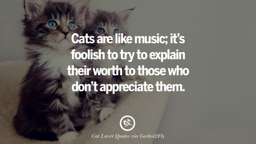 Cats are like music; it's foolish to try to explain their worth to those who don't appreciate them.