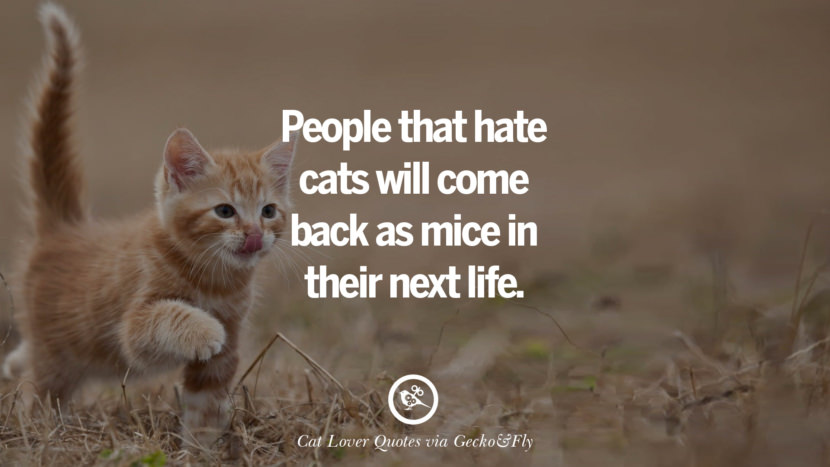 People that hate cats will come back as mice in their next life.