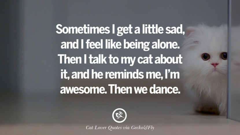 Sometimes I get a little sad, and I feel like being alone. Then I talk to my cat about it, and he reminds me, I'm awesome. Then they dance.