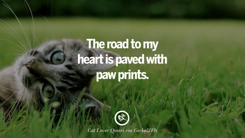 The road to my heart is paved with paw prints.