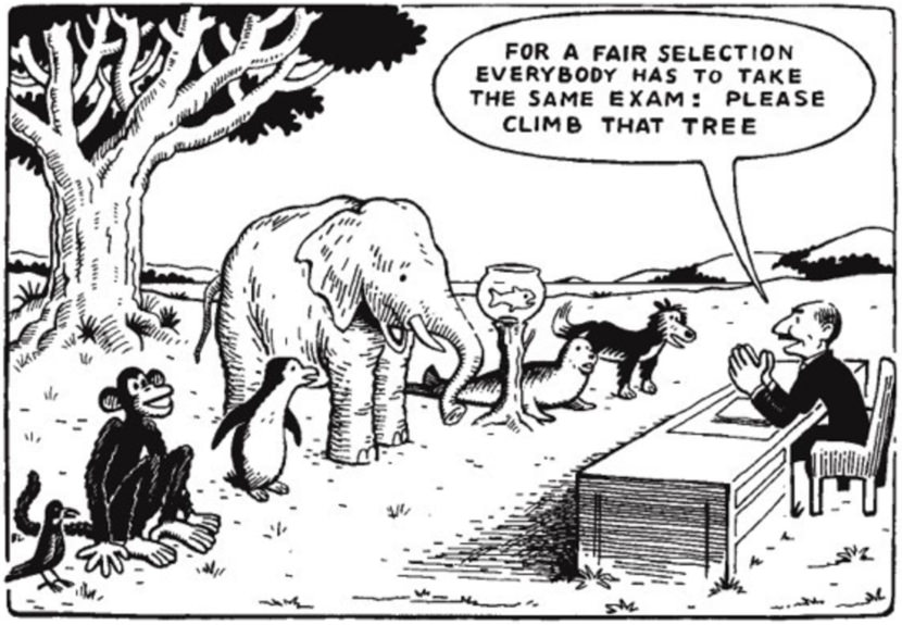 education comic cartoon fish monkey elephant bird climb tree exam