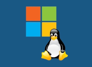 Free Boot Managers - Dual Boot Into Windows And Linux