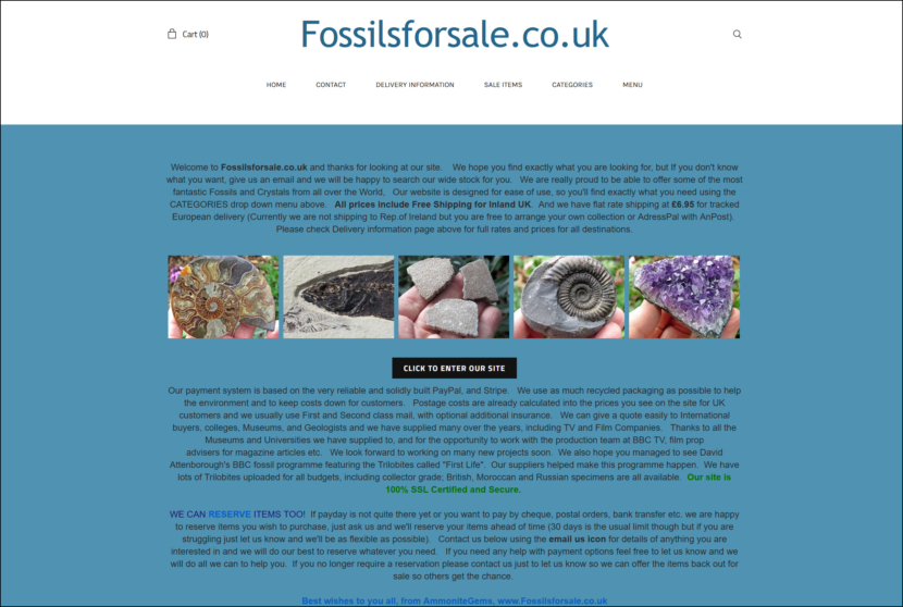 Fossils For Sale